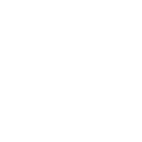 Wiiil Logo