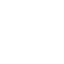 Wiiil Logo
